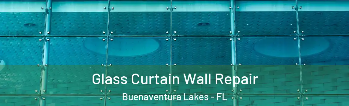 Glass Curtain Wall Repair Buenaventura Lakes - FL