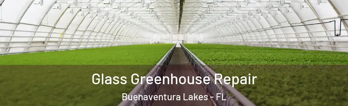 Glass Greenhouse Repair Buenaventura Lakes - FL