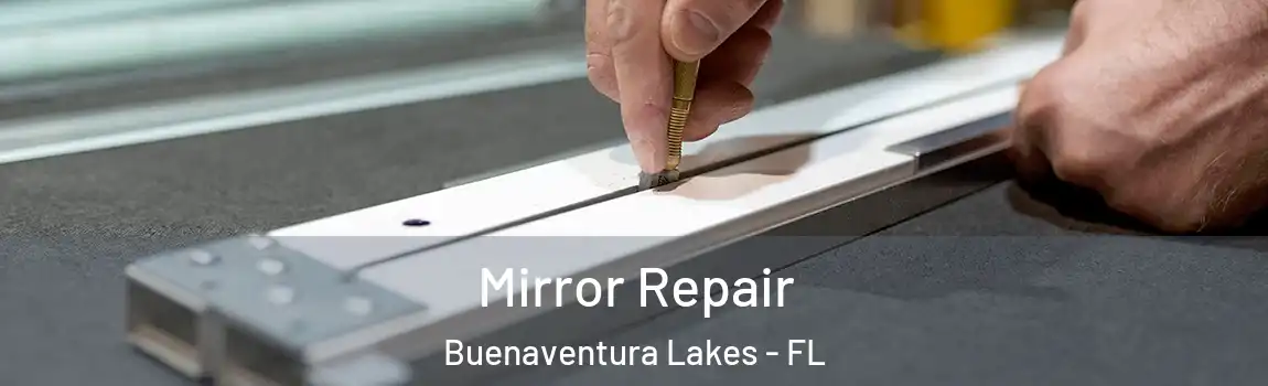 Mirror Repair Buenaventura Lakes - FL