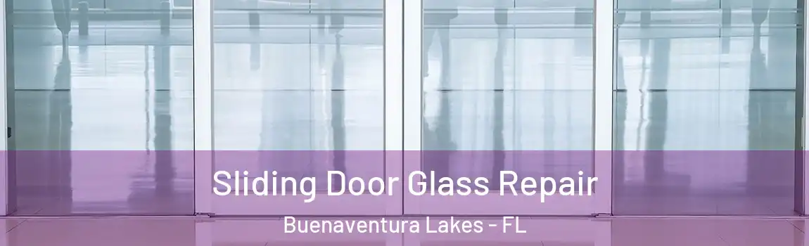 Sliding Door Glass Repair Buenaventura Lakes - FL