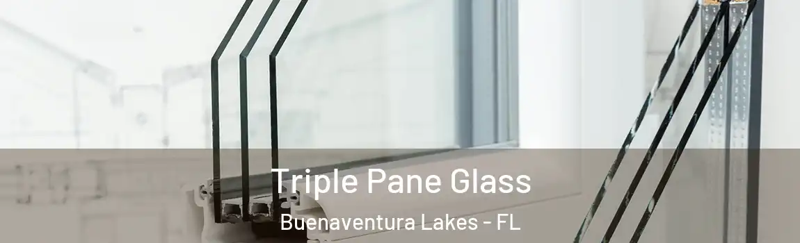  Triple Pane Glass Buenaventura Lakes - FL