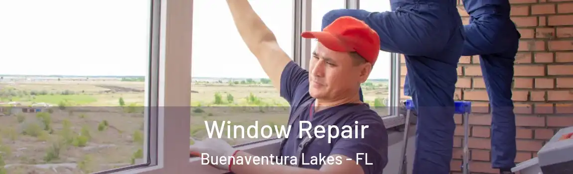  Window Repair Buenaventura Lakes - FL